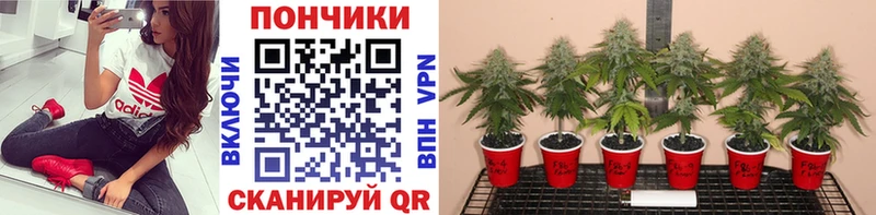 Магазин наркотиков Моздок A-PVP КОКАИН Гашиш МЕФ Канабис