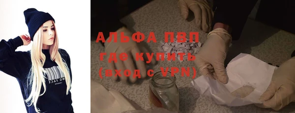 spice Богданович