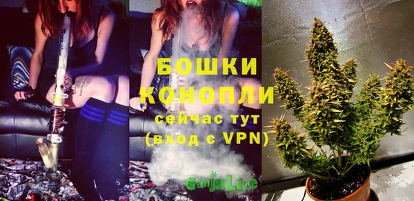 винт Белокуриха